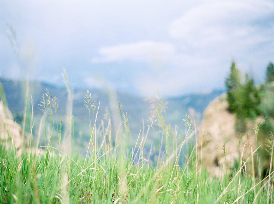 Green meadows in Rocky, Colorado