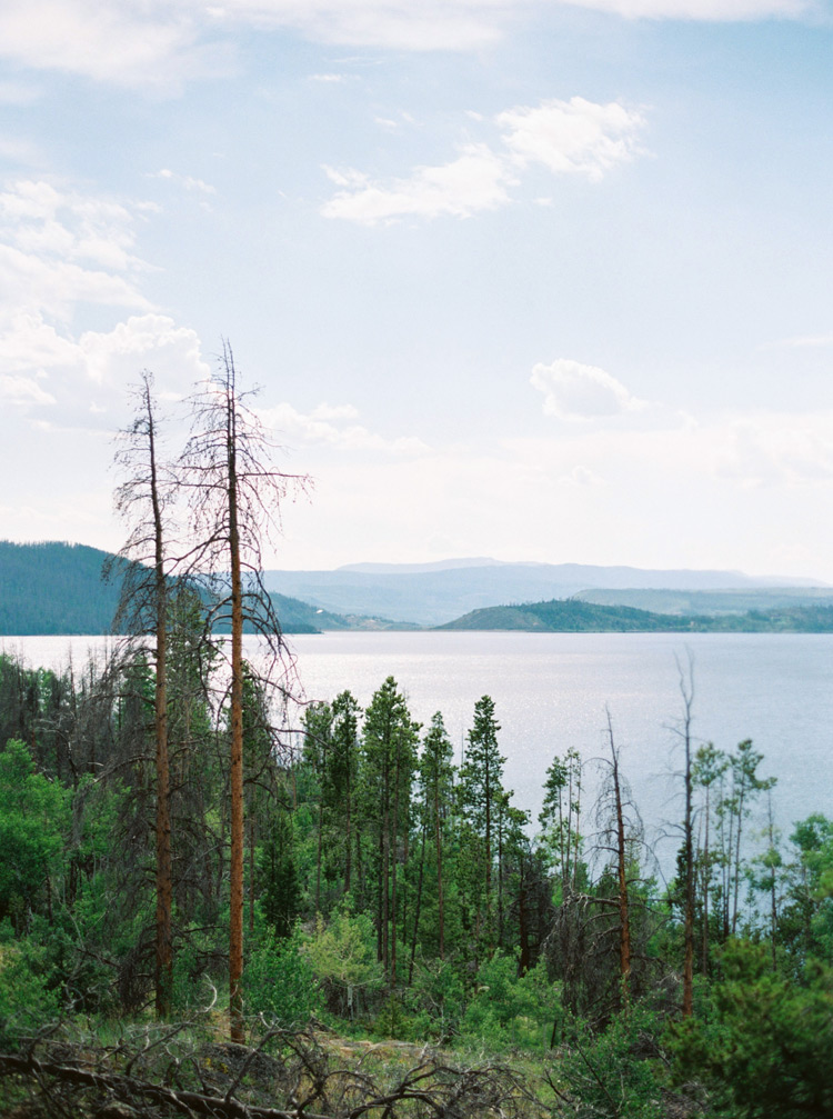 Exquisite outdoor view of Colorado forests