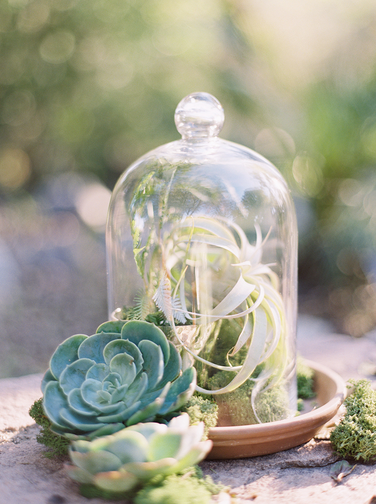Earthy wedding succulent decorations 