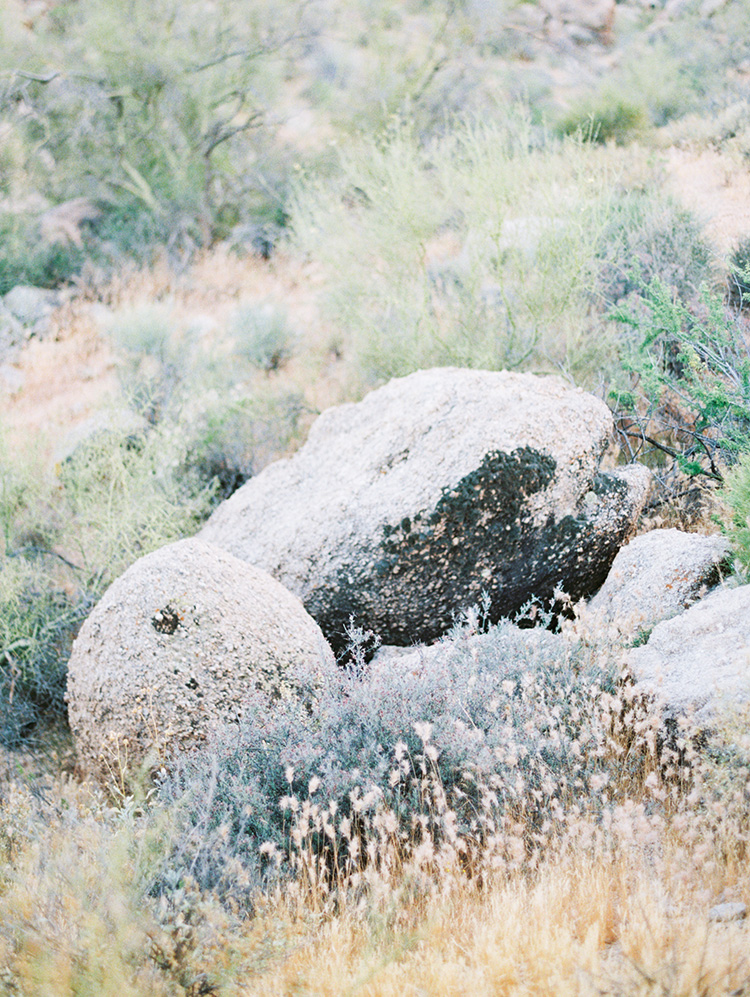 Arizona desert landscape