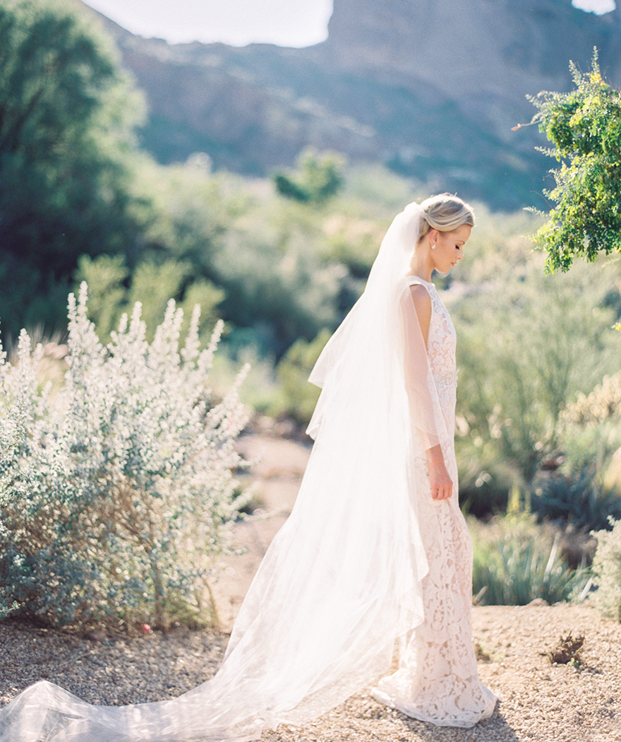 Beautiful lace wedding gown and long veil. Bride standing in desert landscape at destination wedding