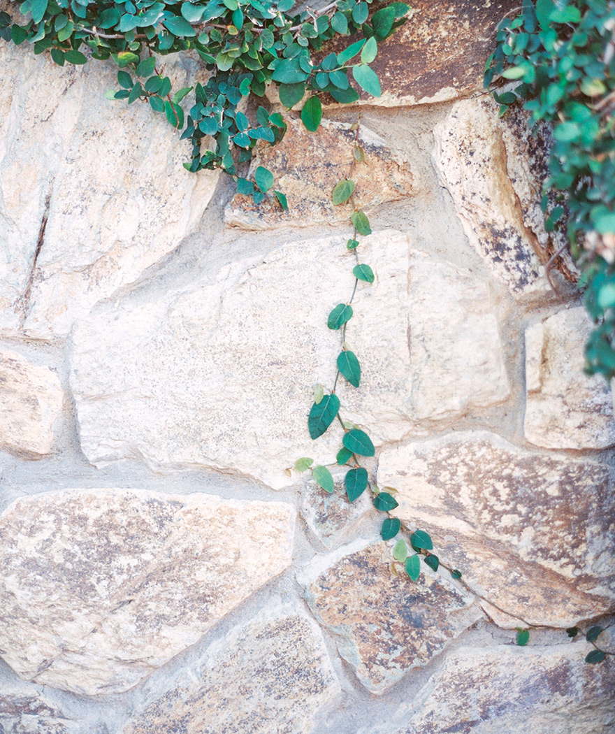 Gorgeous outdoor wedding reception in the Arizona desert. Venue is Sassi in Scottsdale, AZ. 
