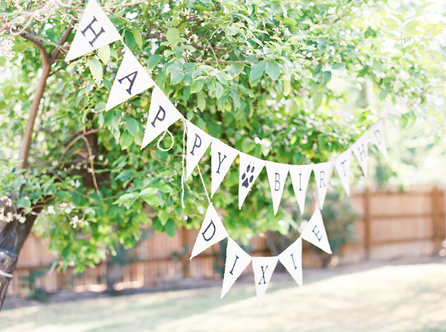Tribal shaped birthday streamers.