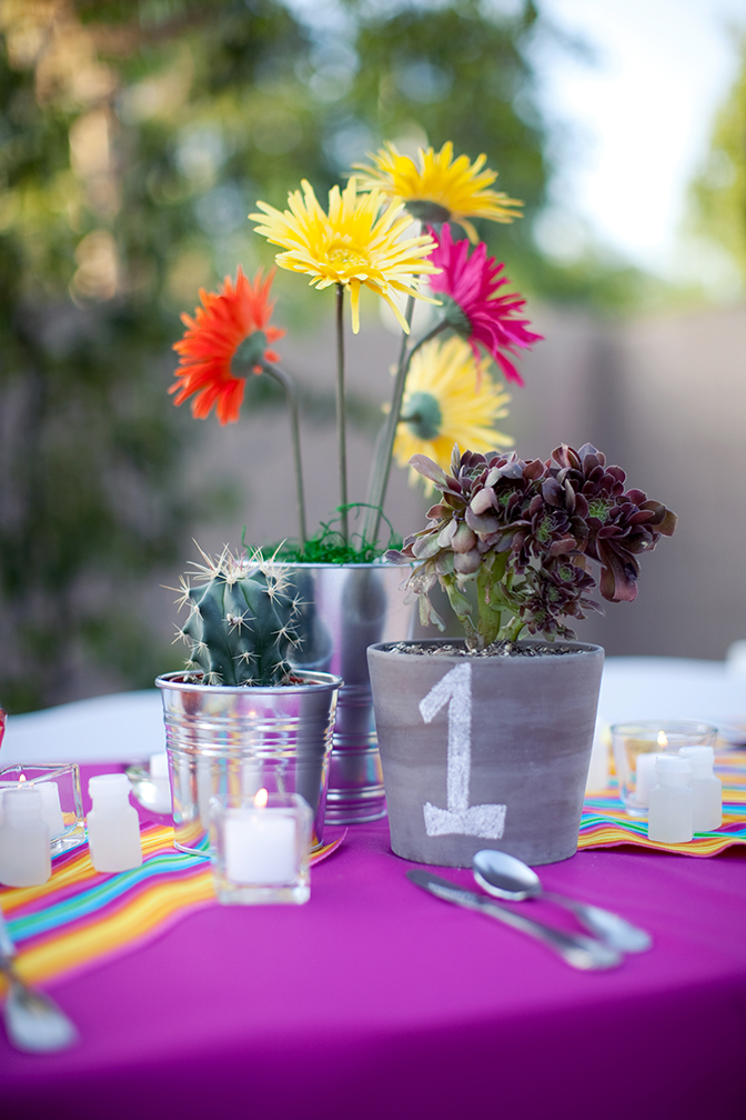 vivid flowers and cacti for a fiesta