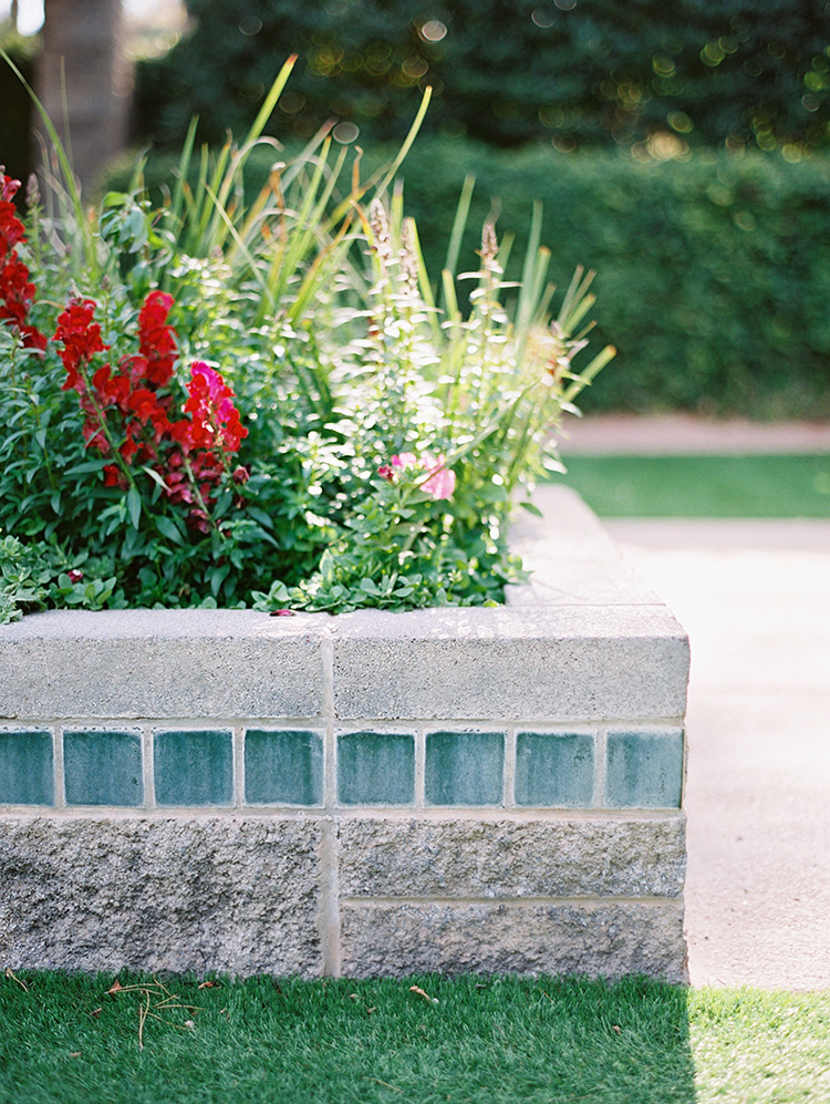 bright flowers in an outdoor planter, Phoenix, AZ