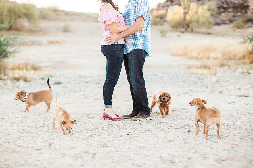 desert engagement shoot with dogs