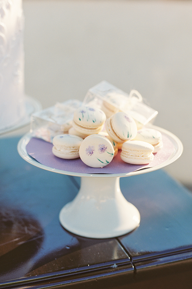 Handpainted macarons