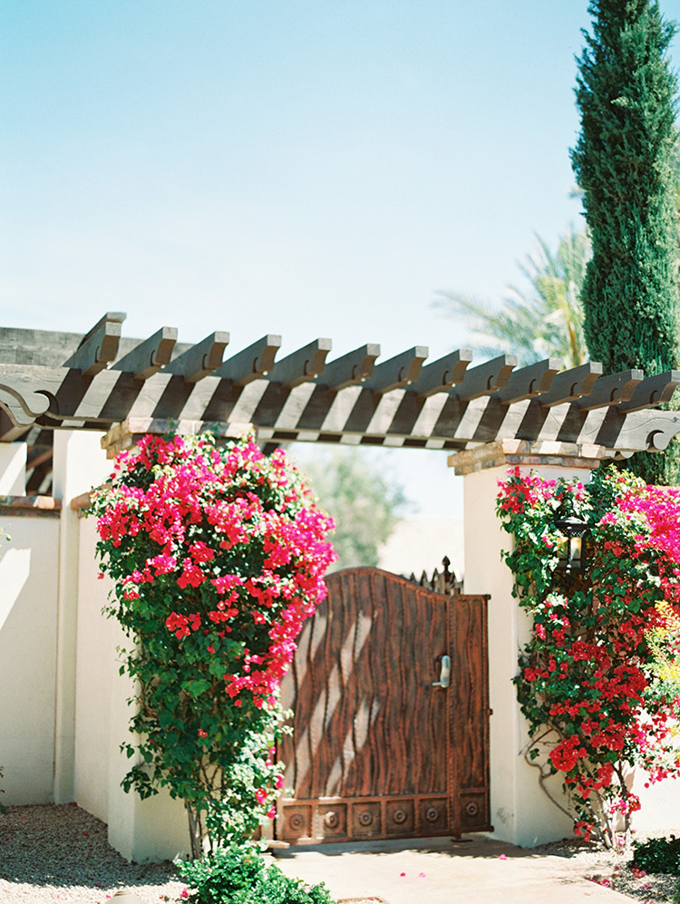 bougainvillea at Omni Scottsdale Resort at Montelucia