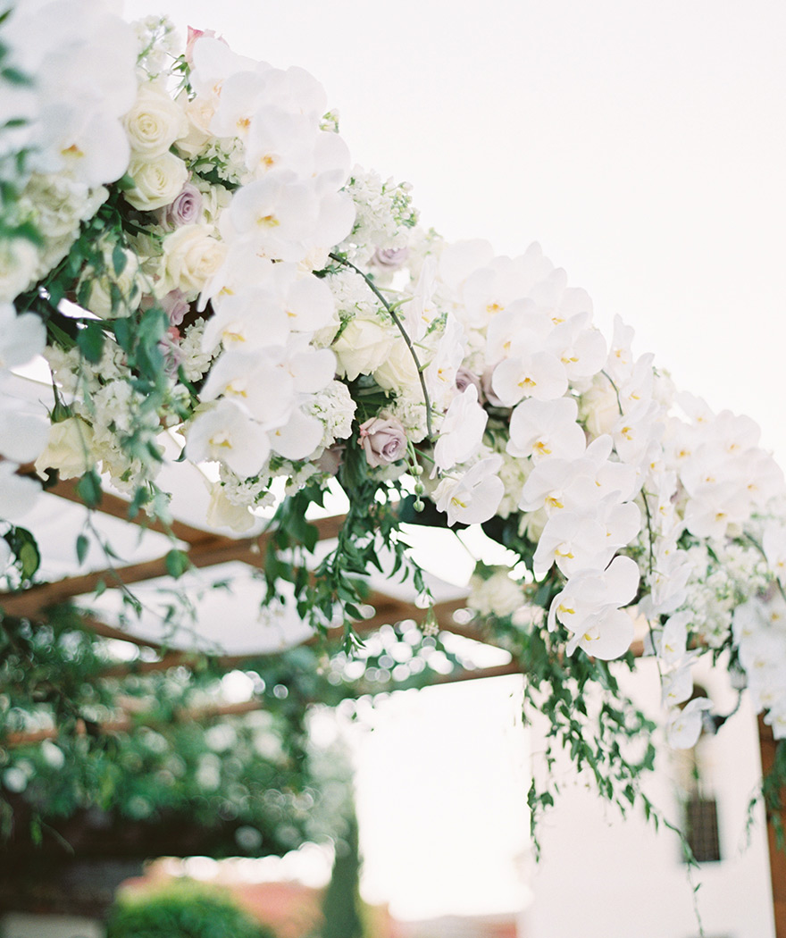 chuppah with roses and white orchids