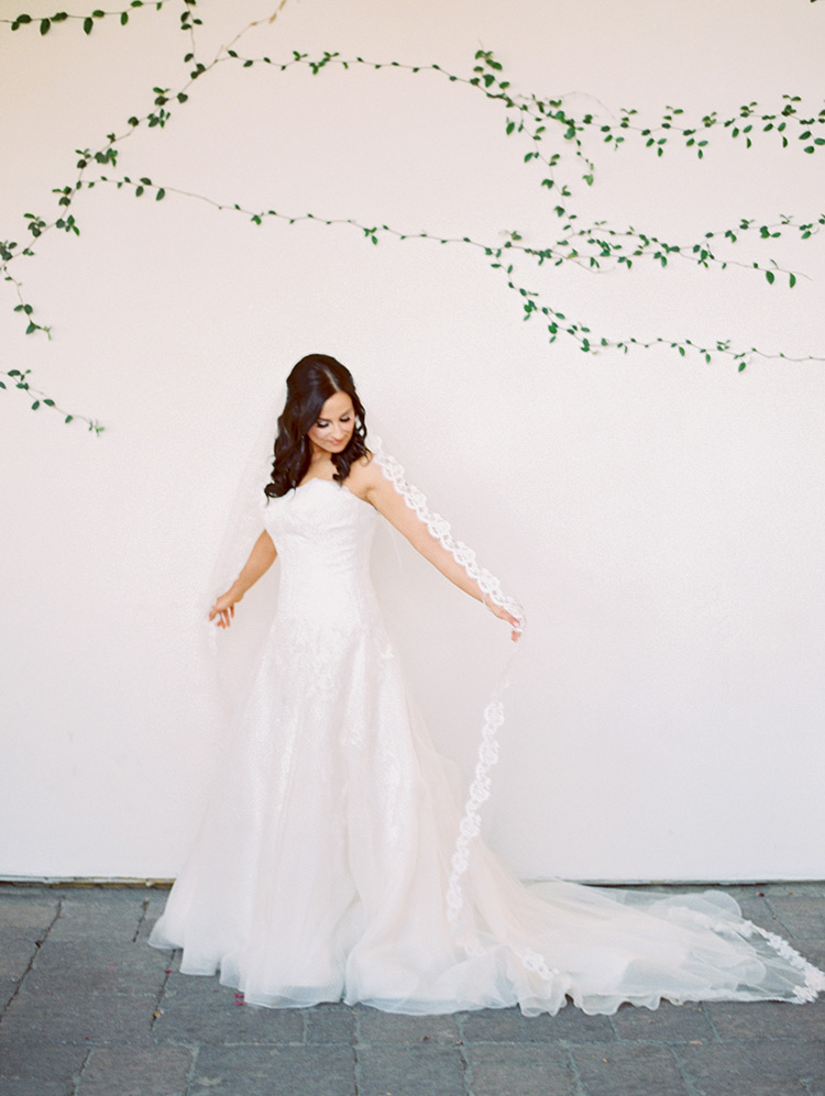 cathedral length veil edged in scalloped lace