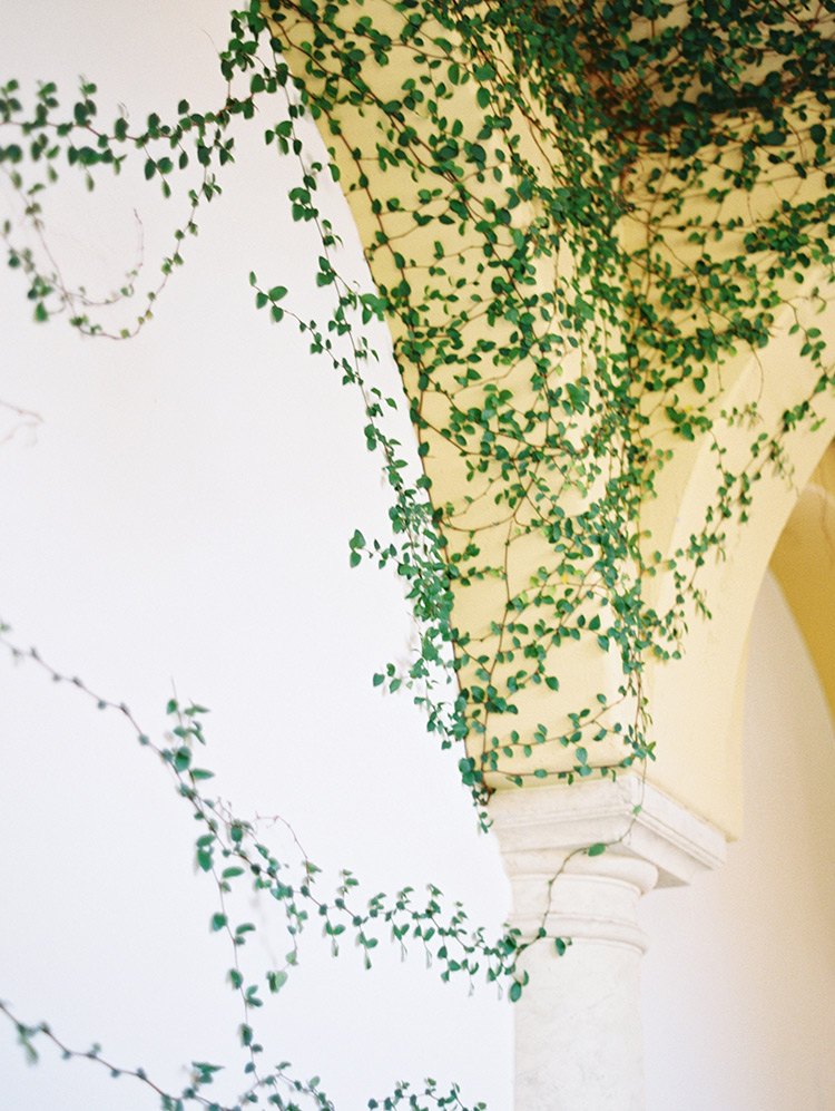 vines on the walls at Omni Scottsdale Resort & Spa at Montelucia