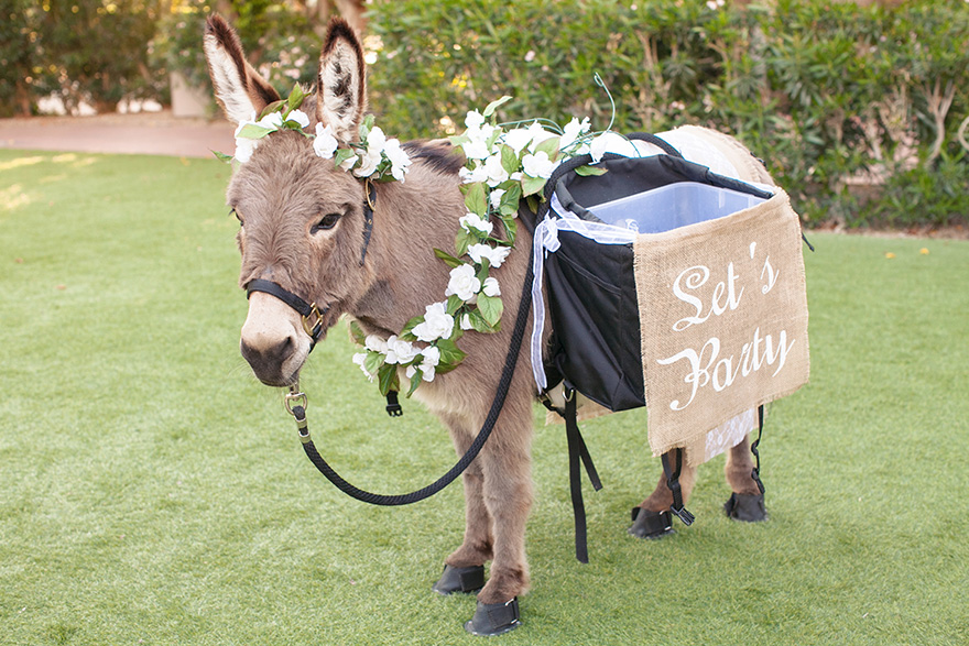 beer burro by Haul N Ass Productions