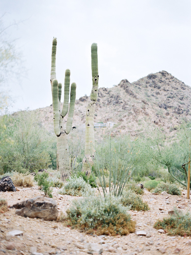 Arizona desert landscape
