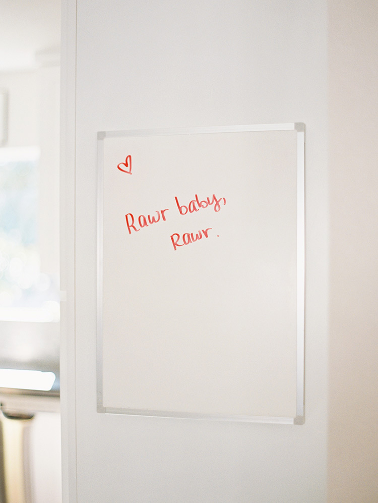 engagement photo shoot at home