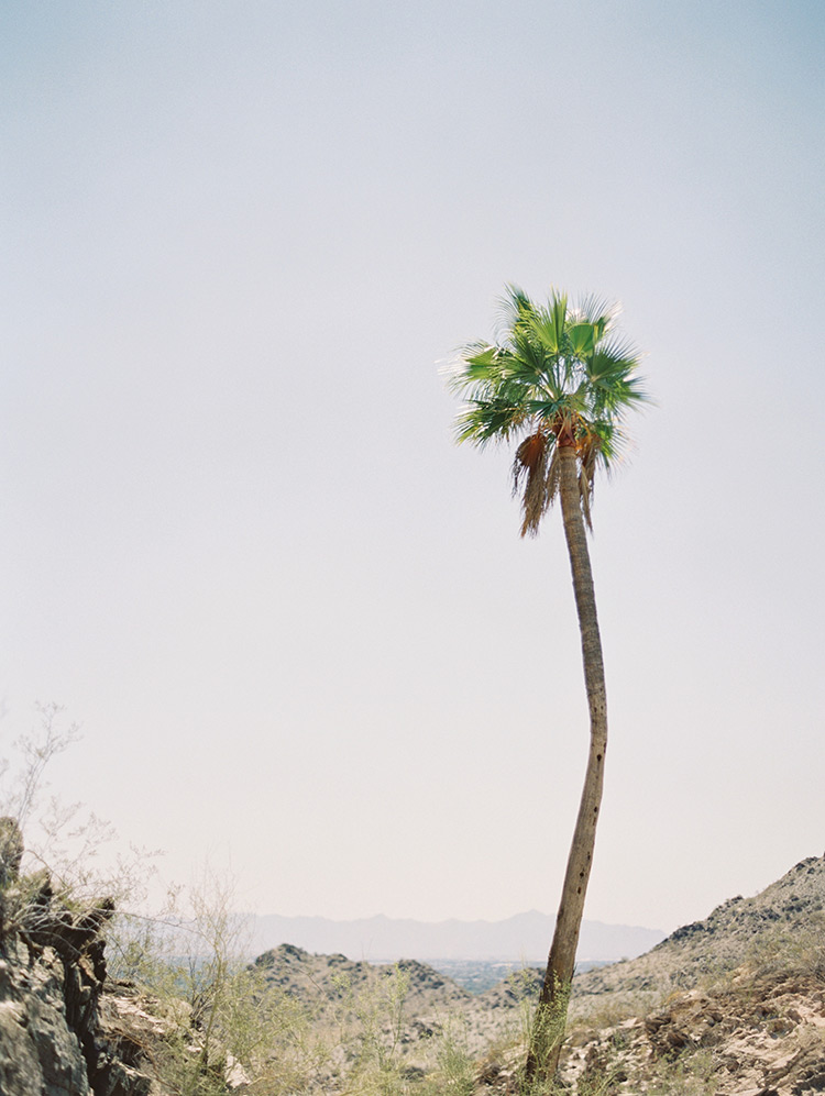 desert view in Phoenix