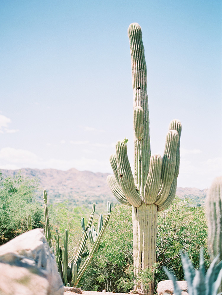 desert view from Sanctuary on Camelback