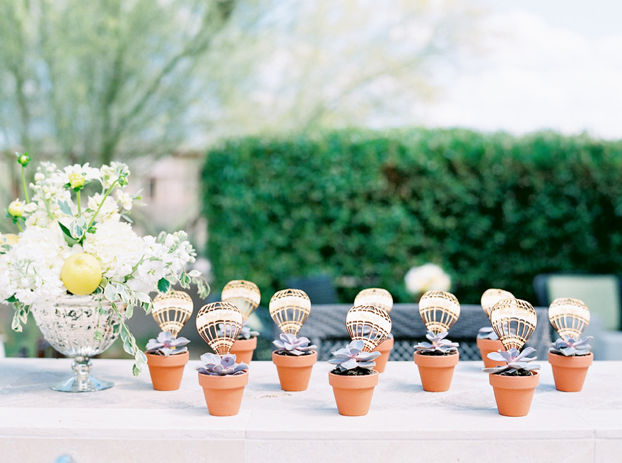 Hot air balloon place cards tucked into pots of succulents