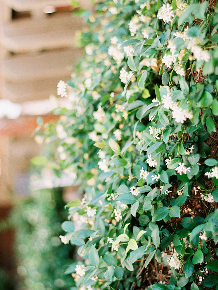 flower-covered walls at the DC Ranch Country Club