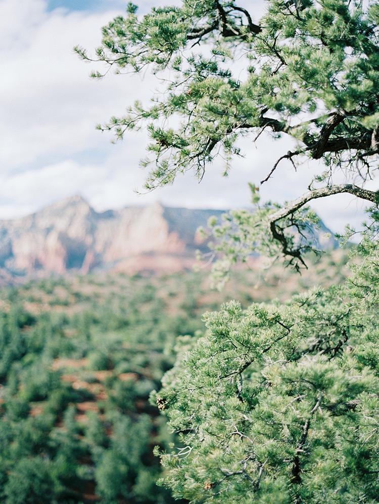 Sedona, Arizona landscape