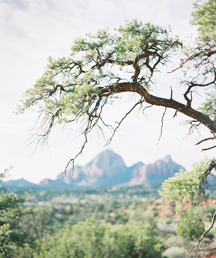 Sedona landscape