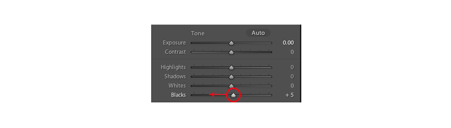adjusting the shadow tones of an image in Lightroom