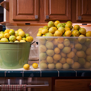 Lemon contest results