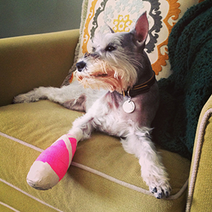 Frivolous Friday vol. 67