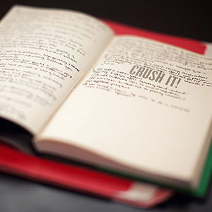 Book Review: Crush It!