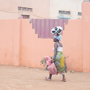 Luanda, Angola & a safari!