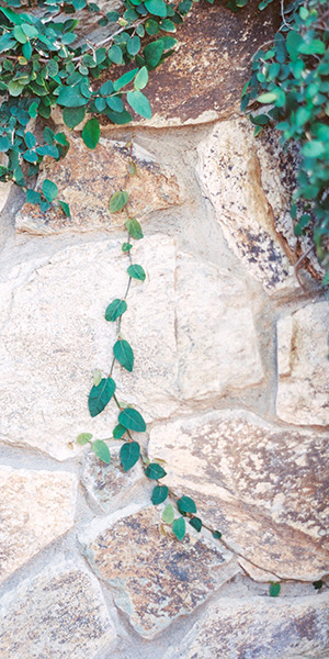 How do you deal with changing light situations?