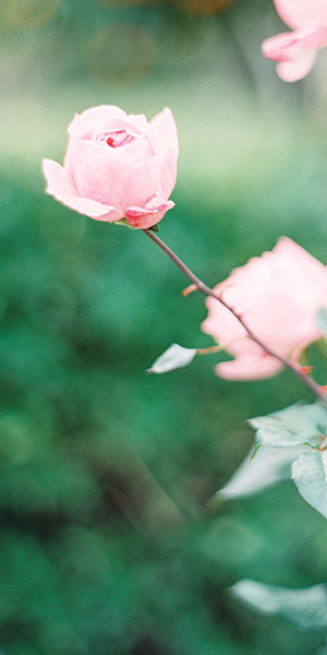 My story -- Making the leap to full-time